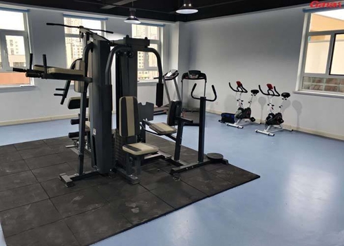 Latest company Solutions about gym cable