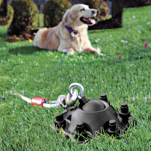 dog tie out cable