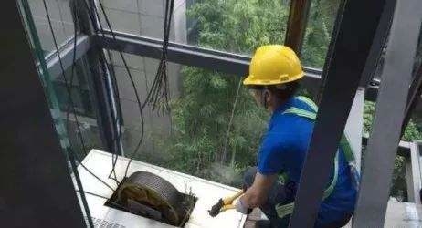elevator rope