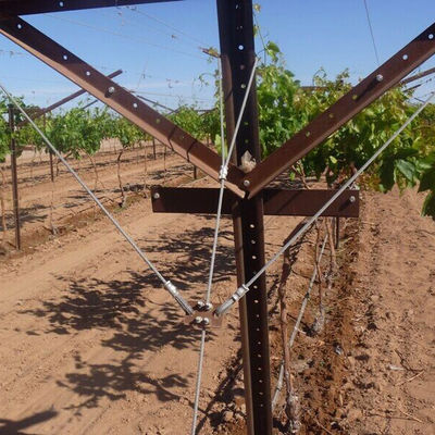 Goede prijs 6.35mm Diameter High Carbon Steel Draad touw Sling voor Grape Trellis met Accessoires online